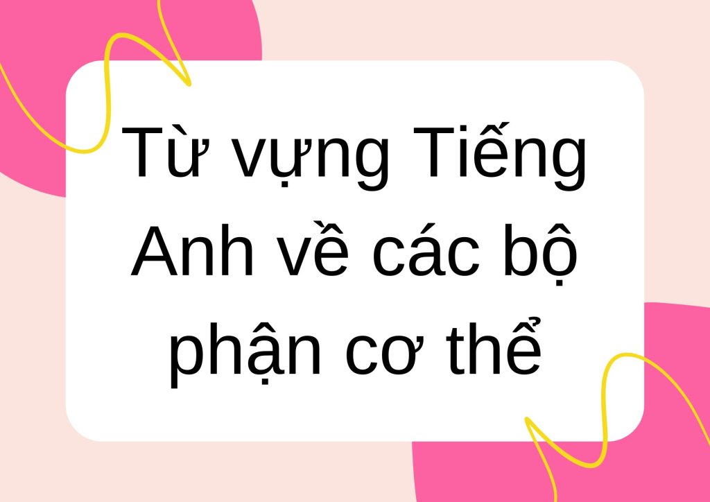 Từ vựng Tiếng Anh về các bộ phận cơ thể